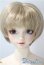 画像1: SDGrB/フルチョイスF-59：オーダーメイク U-25-06-17-215-KD-ZU (1)
