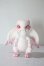 画像2: Aileendoll/Angel Seed - Pink Rose ver. A-25-06-11-1044-KD-ZU (2)