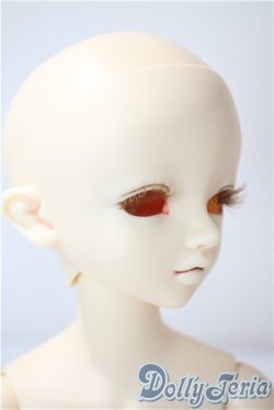 画像2: SDM/フルチョイスF-44 U-25-06-17-211-TN-ZU