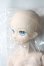 画像4: DD/遠坂凛 ver.2  A-25-06-11-1038-TN-ZU