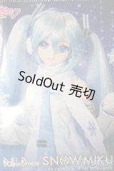 DD/雪ミク A-25-06-11-1039-TN-ZA