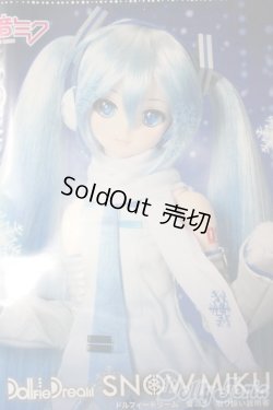 画像1: DD/雪ミク A-25-06-11-1039-TN-ZA