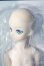 画像5: DD/雪ミク A-25-06-11-1039-TN-ZU
