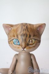 I.O.S/Koo-Brown tabby A-25-06-11-1096-TN-ZU