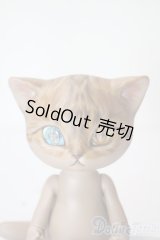 I.O.S/Koo-Brown tabby A-25-06-11-1096-TN-ZU