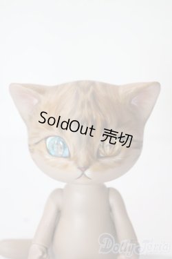 画像1: I.O.S/Koo-Brown tabby A-25-06-11-1096-TN-ZU