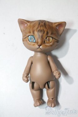 画像2: I.O.S/Koo-Brown tabby A-25-06-11-1096-TN-ZU