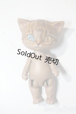 画像2: I.O.S/Koo-Brown tabby A-25-06-11-1096-TN-ZU