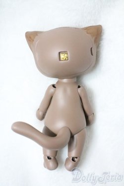 画像3: I.O.S/Koo-Brown tabby A-25-06-11-1096-TN-ZU