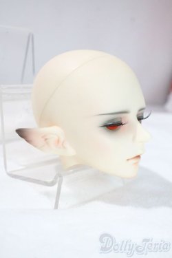 画像2: LUTS/S65DF：AVALANCHE　ELFver. MOONLIT　SONG A-25-06-11-1100-TN-ZU