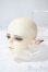 画像3: LUTS/S65DF：AVALANCHE　ELFver. MOONLIT　SONG A-25-06-11-1100-TN-ZU (3)