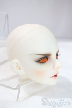 画像2: LUTS/S65DF：DIEZ　LIMITED A-25-06-11-1097-TN-ZU