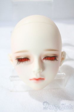 画像1: LUTS/SDF:2015winter　EVENT head A-25-06-11-1098-TN-ZU