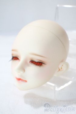 画像3: LUTS/SDF:2015winter　EVENT head A-25-06-11-1098-TN-ZU