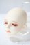 画像3: LUTS/SDF:2015winter　EVENT head A-25-06-11-1098-TN-ZU (3)