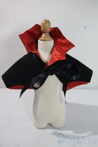 DD/OF:マント A-25-06-18-1033-KD-ZU