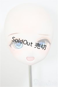 DD/DDＨ-01カスタムメイクヘッド/BJD　球体関節人形 A-25-06-18-340-KD-ZA