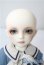 画像1: SDMB/F-61　コーディネートモデル U-25-06-24-215-TN-ZU (1)