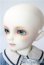画像3: SDMB/F-61　コーディネートモデル U-25-06-24-215-TN-ZU