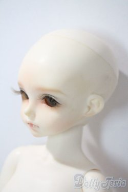 画像4: rosenlied/wedne'sday child　basic rose A-25-06-25-1097-TN-ZU