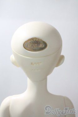 画像5: rosenlied/wedne'sday child　basic rose A-25-06-25-1097-TN-ZU