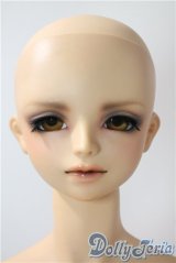 SDGrB/フルチョイスF-55 U-25-07-01-214-TN-ZU
