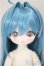 画像1: TinyFox/1/6/?中雀 カルディス /BJD　球体関節人形 A-25-10-01-152-KD-ZA (1)