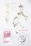 画像1: SPIRIT IN PRINT/WOLF cub A-26-08-26-1096-TN-ZU (1)