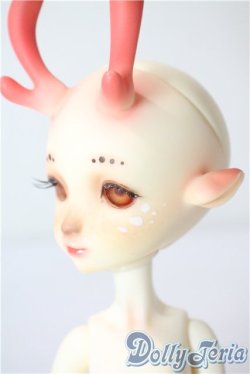 画像4: dollzone/Lacey A-25-07-09-1041-TN-ZU