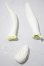 画像1: luts/Senior Delf Bunny Ears and Tail set ver1 Limited A-26-10-28-1077-TN-ZU (1)