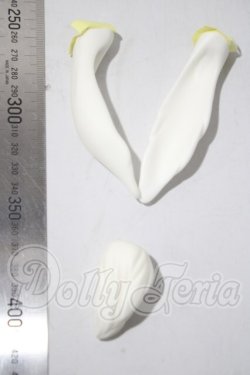 画像2: luts/Senior Delf Bunny Ears and Tail set ver1 Limited A-26-10-28-1077-TN-ZU