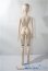 画像2: Smart Doll/本体 A-25-07-09-1082-KD-ZU (2)