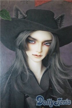 画像1: SD17男の子/Ludo〜the Grey Tail〜灰白狼のルド U-25-07-08-218-KD-ZU