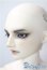 画像4: SD17男の子/Ludo〜the Grey Tail〜灰白狼のルド U-25-07-08-218-KD-ZU