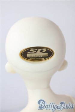 画像4: SDM/F-40　フルチョイス U-25-07-08-212-TN-ZU