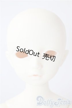 画像1: SDM/F-20：コーディネートモデル U-25-07-08-213-TN-ZU