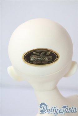 画像4: SDM/F-20：コーディネートモデル U-25-07-08-213-TN-ZU