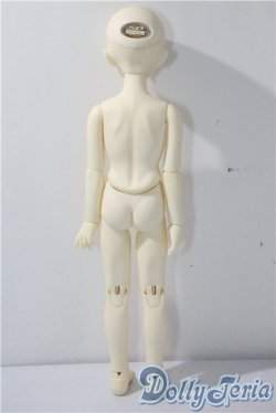 画像6: SDM/F-20：コーディネートモデル U-25-07-15-211-TN-ZU