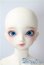 画像1: SD女の子/F-60:フルチョイス U-25-07-15-219-TN-ZU (1)