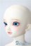 画像3: SD女の子/F-60:フルチョイス U-25-07-15-219-TN-ZU