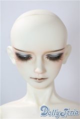 BJD CROBI/Y's　DAYDREAM　ver. A-25-07-16-1069-TN-ZU