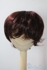 8〜9inch/モヘアウィッグ：KamR様製 U-25-07-15-063-TN-ZU