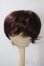 画像1: 8〜9inch/モヘアウィッグ：KamR様製 U-25-07-15-063-TN-ZU (1)