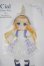画像1: オビツ11/Twinkle Sign Cial Starry Lilac シアル A-26-09-24-1004-TN-ZU (1)