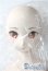 画像2: Dddy/ ヨル・フォージャー：SPY FAMILY A-25-08-06-1099-TN-ZU (2)