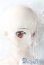 画像3: Dddy/ ヨル・フォージャー：SPY FAMILY A-25-08-06-1099-TN-ZU (3)
