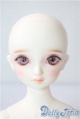 ＭＳＤＧＩＲＬ/フルチョイスＦ14 U-25-07-22-214-TO-ZU