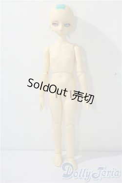 画像5: SDM女の子/フルチョイス F-45 U-25-07-22-213-TO-ZU