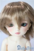 幼天使/椿 U-25-07-22-216-TN-ZU