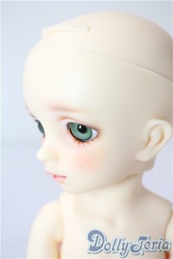 画像4: 幼天使/椿 U-25-07-22-216-TN-ZU